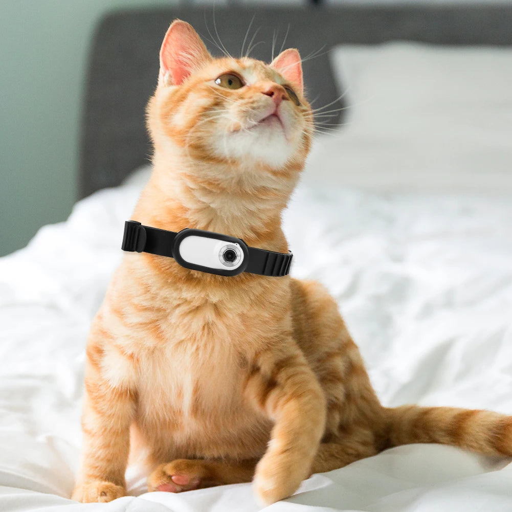 HD 1080P Wireless Collar Camera No WiFi Needed Dog Cat Pet Camera Collar Nanny Camera Video Records for Cats Dogs